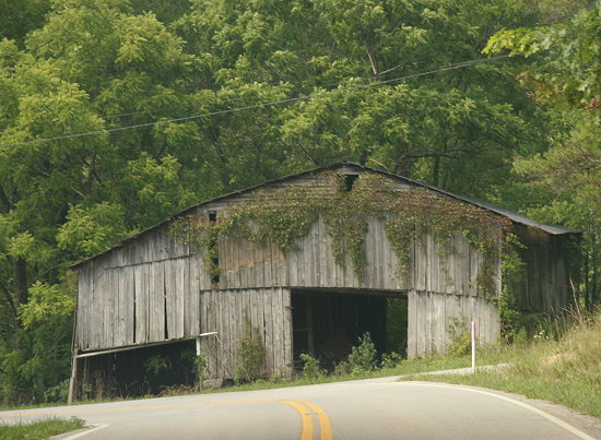 Somewhere in Kentucky Somewhere in Kentucky
