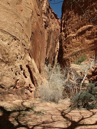 Long Canyon