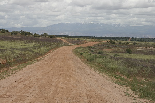 Long Canyon Road