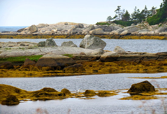 Peggy's Cove Peggy's Cove
