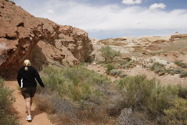 Little Wildhorse Canyon Little Wildhorse Canyon