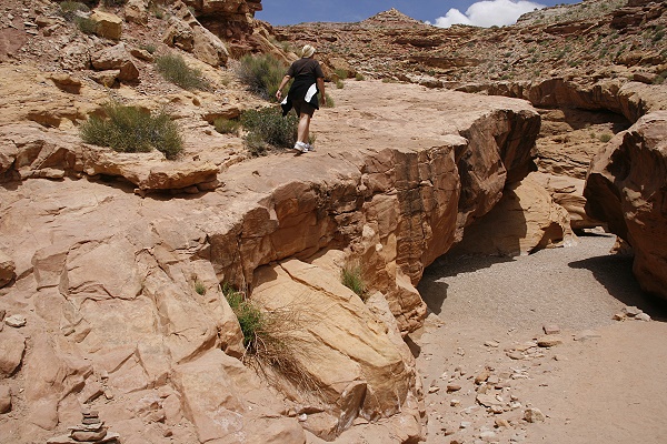 Little Wildhorse Canyon Little Wildhorse Canyon