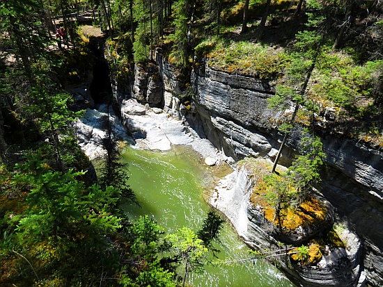 Maligne Canyon