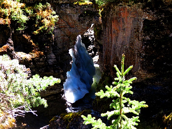 Maligne Canyon