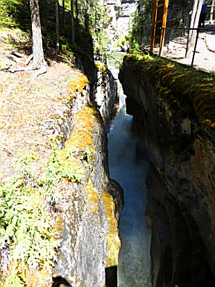 Maligne Canyon