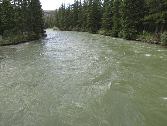 Maligne Canyon - Brcke 6