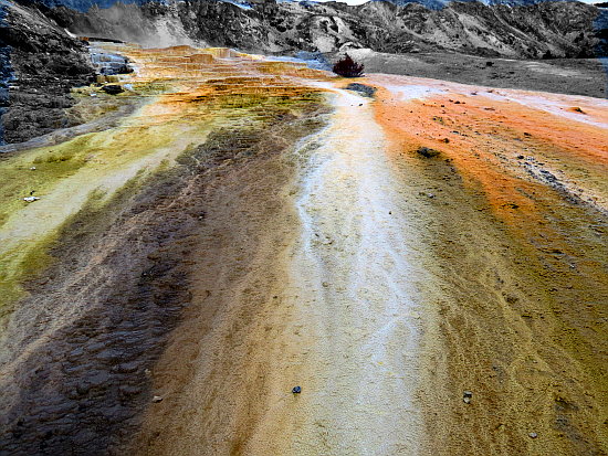 Mammoth Hot Springs