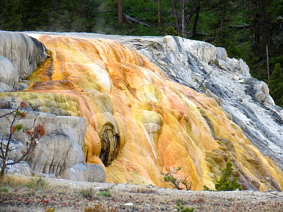 Mammoth Hot Springs