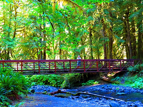 Brücke auf dem Weg zu den Marymere Falls Brücke auf dem Weg zu den Marymere Falls