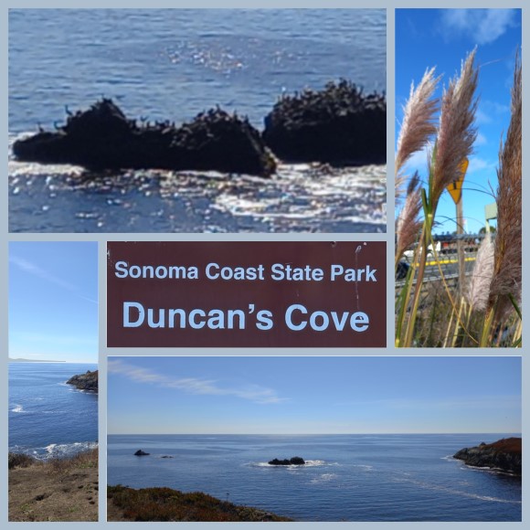 Duncan's Cove
