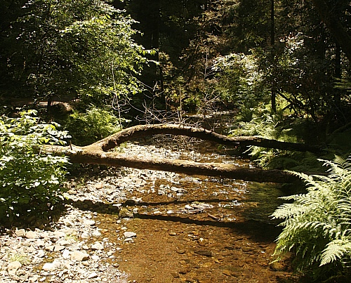 Keine Brücke Keine Brücke