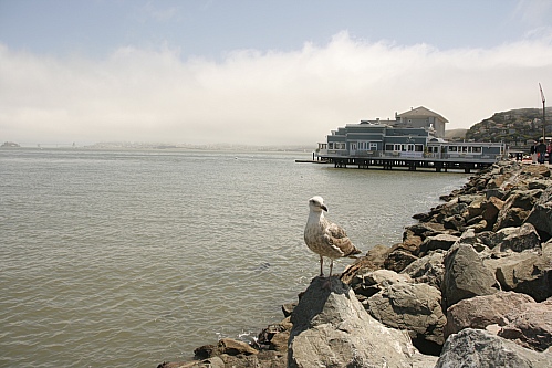 Blick von Sausalito auf den bewölkte San Francisco Blick von Sausalito auf den bewölkte San Francisco