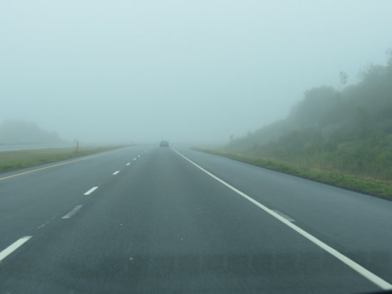 Nebel in Canada