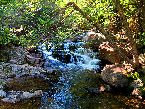 Cascade Cascade