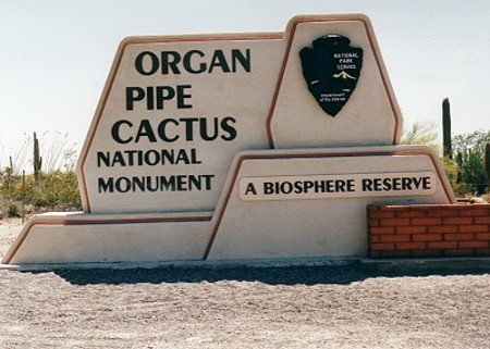 Organ Pipe Cactus Park 