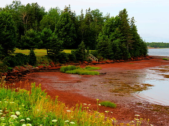 Pinette Provincial Par Pinette Provincial Par