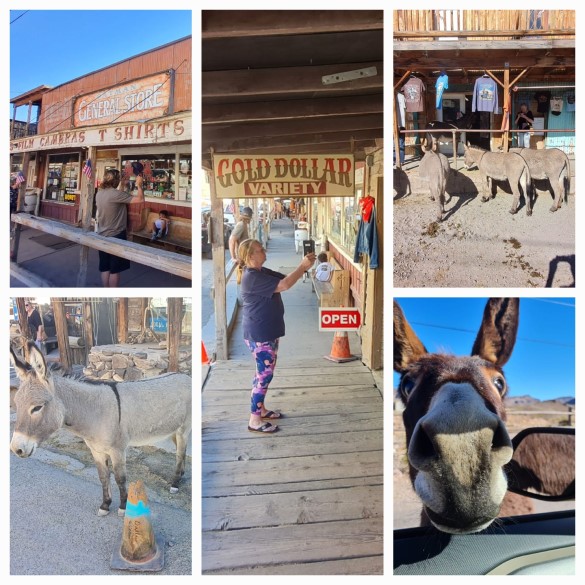 Oatman Oatman