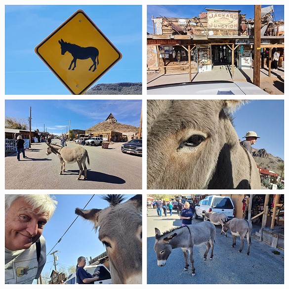 Oatman Oatman
