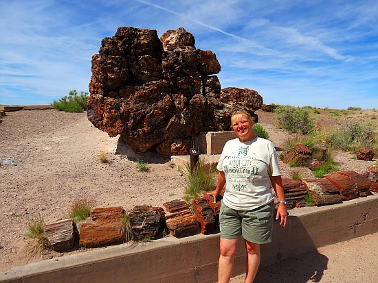 Petrified Forest National Park Petrified Forest National Park