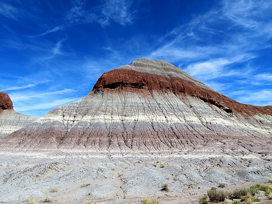 Petrified Forest National Park