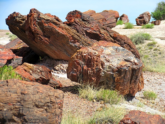 Petrified Forest National Park Petrified Forest National Park