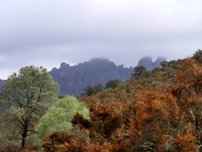 Pinnacles National Park