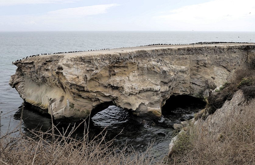 Margo Dodd Park Pismo Beach