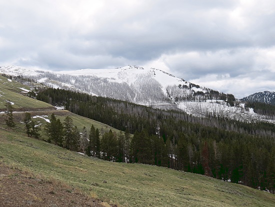 Dunraven Pass Dunraven Pass
