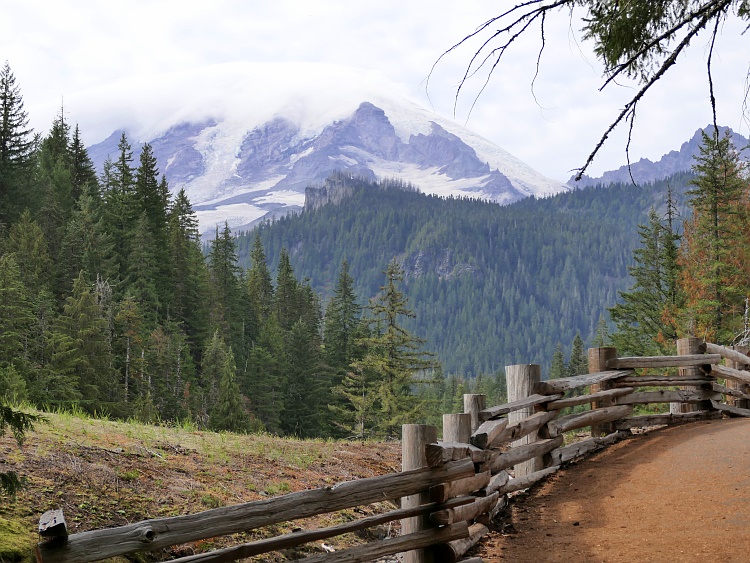 Mount Rainier National Park 