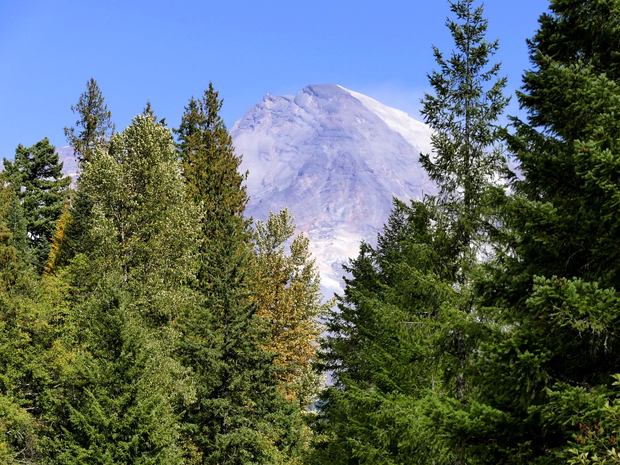 Mount Rainier