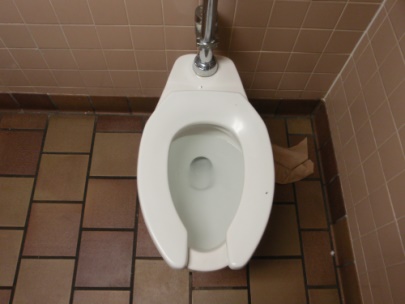 die Toilette ist wie die Visitenkarte eines Hauses. die Toilette ist wie die Visitenkarte eines Hauses.