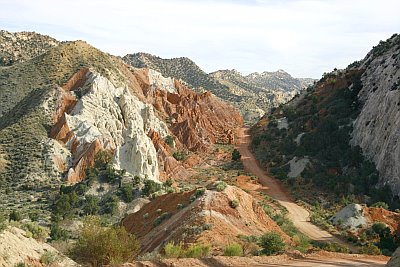 Cottonwood Canyon