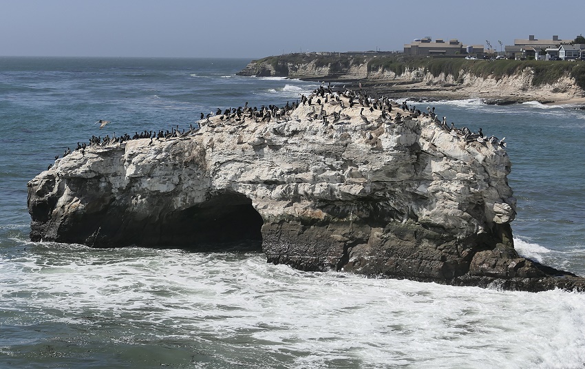 Natural Bridges State Park Santa Cruz