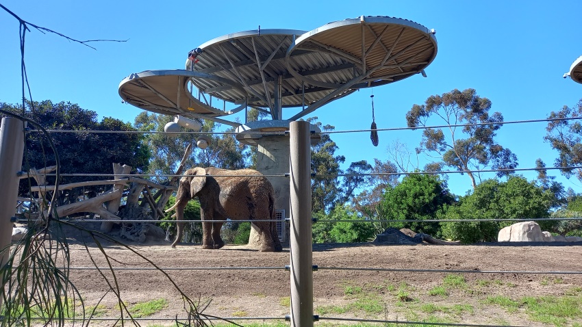 San Diego Zoo