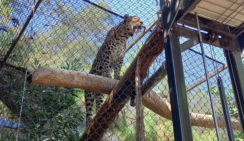 San Diego Zoo