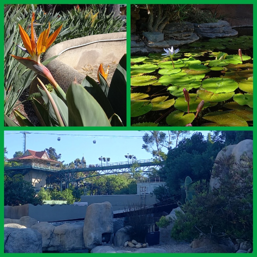 San Diego Zoo