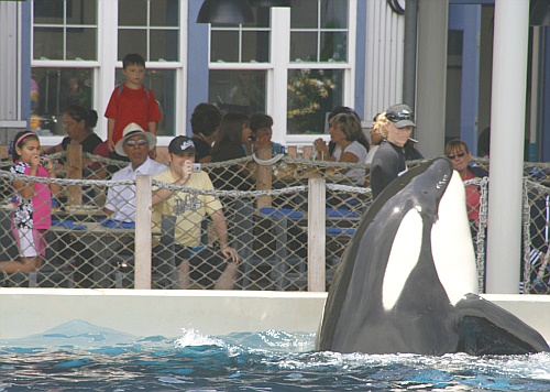 Dine with Shamu Dine with Shamu