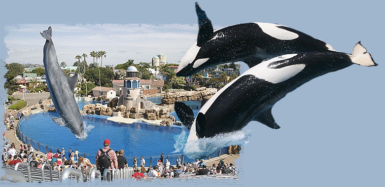 Seaworld San Diego