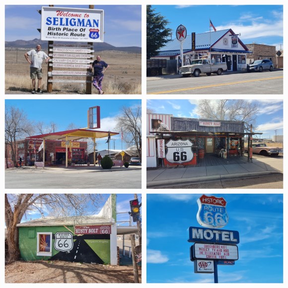 Seligman Seligman