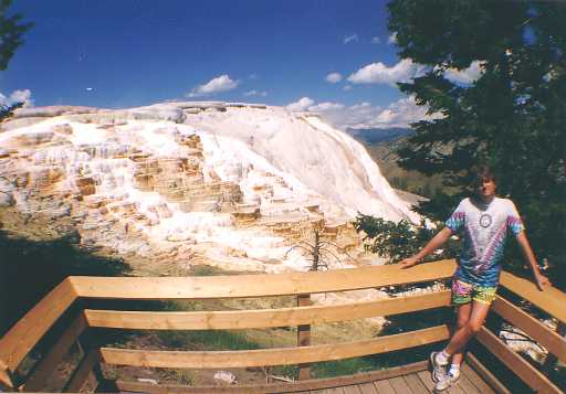 Minerva Terrace Yellowstone