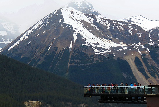 Glacier Skywalk Glacier Skywalk