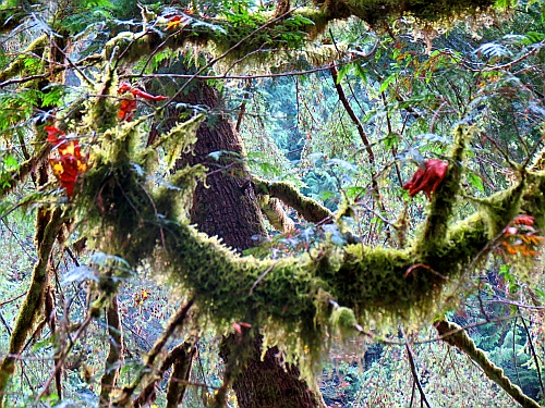 Twin Falls Trail Twin Falls Trail