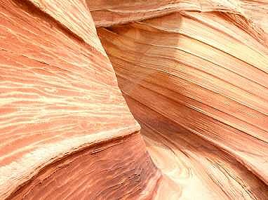 The Wave