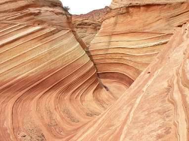 The Wave
