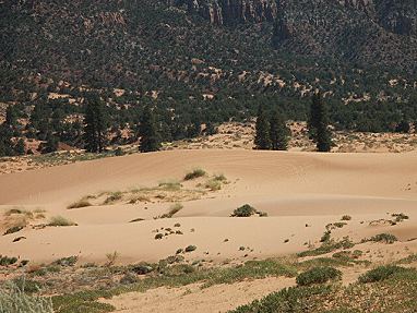 Coral Pink Sand Dunes