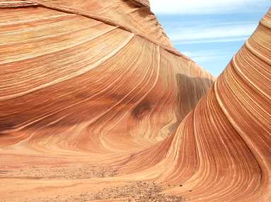 The Wave