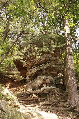 Der Pinnacle am Pinnacle Overlook