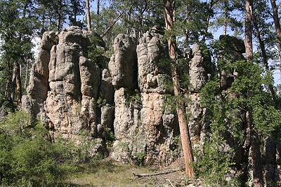 Custer State Park