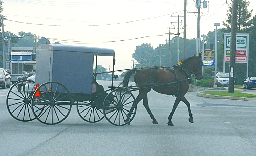 Eine Amish-Kutsche