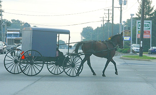 Eine Amish-Kutsche Eine Amish-Kutsche